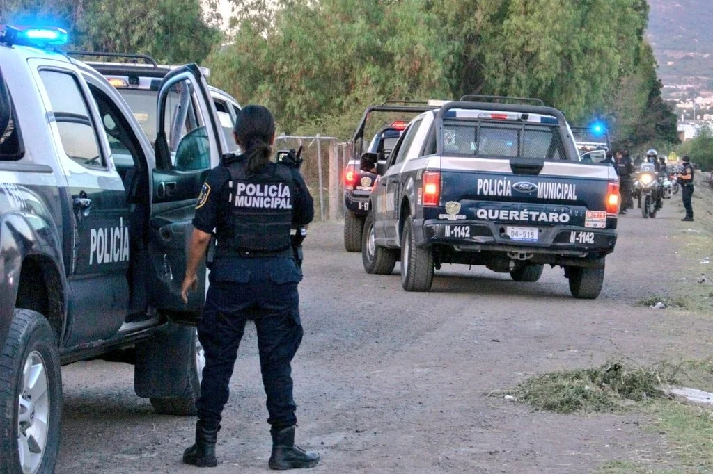 Seguridad robo